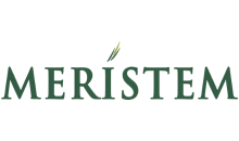 Meristem